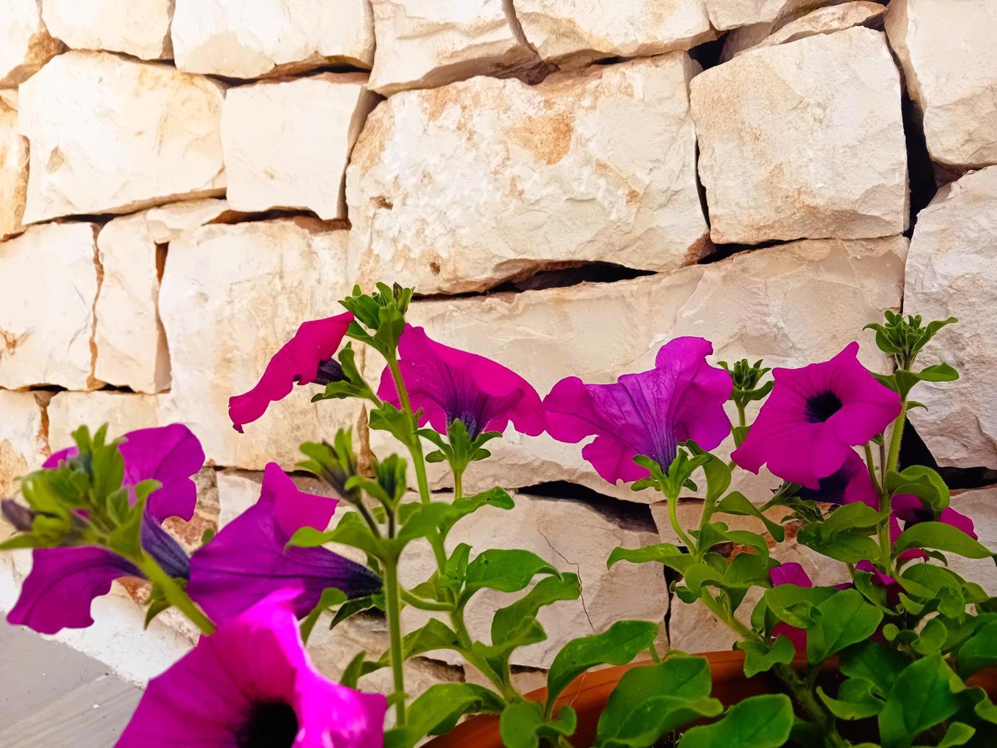 Pietra Di Puglia Hotel Monopoli Bagian luar foto