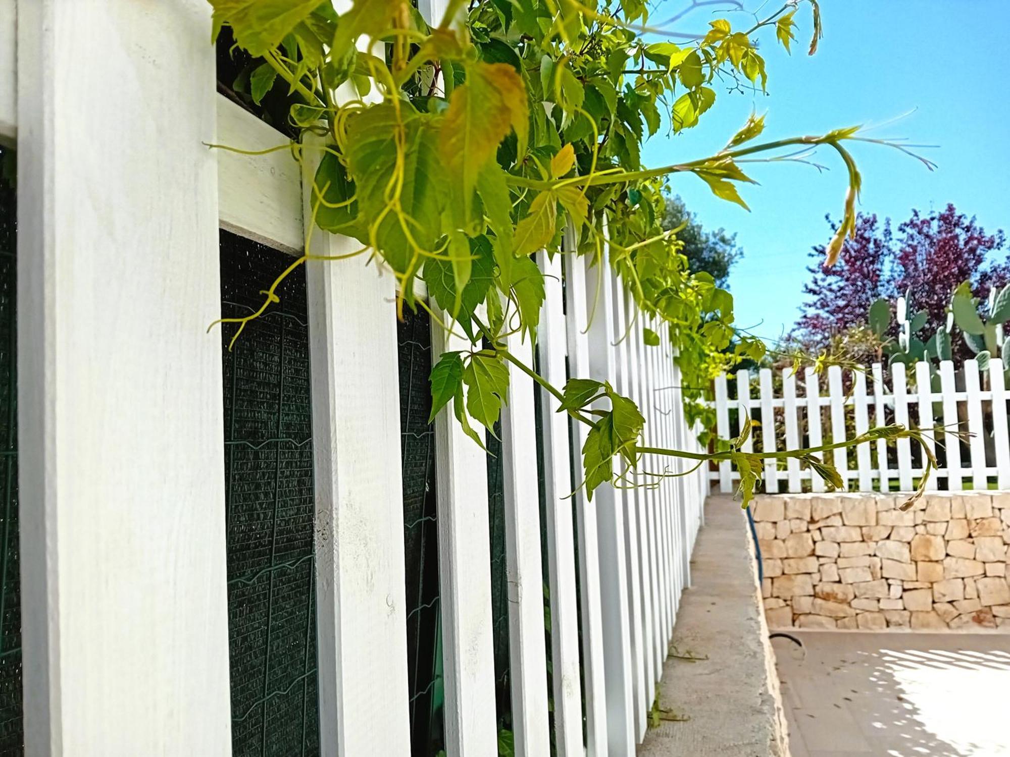 Pietra Di Puglia Hotel Monopoli Bagian luar foto